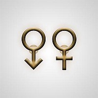 SYMBOL VENUS&MARS WALL